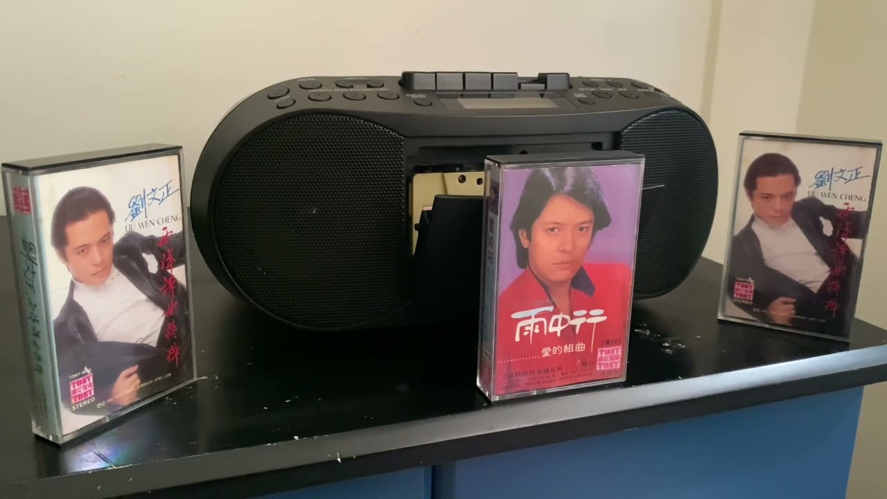 經典歌曲重溫：雨中行（劉文正）