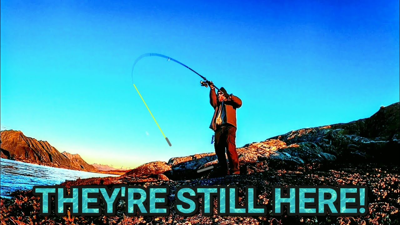 Shore jigging in arctic Norway!
