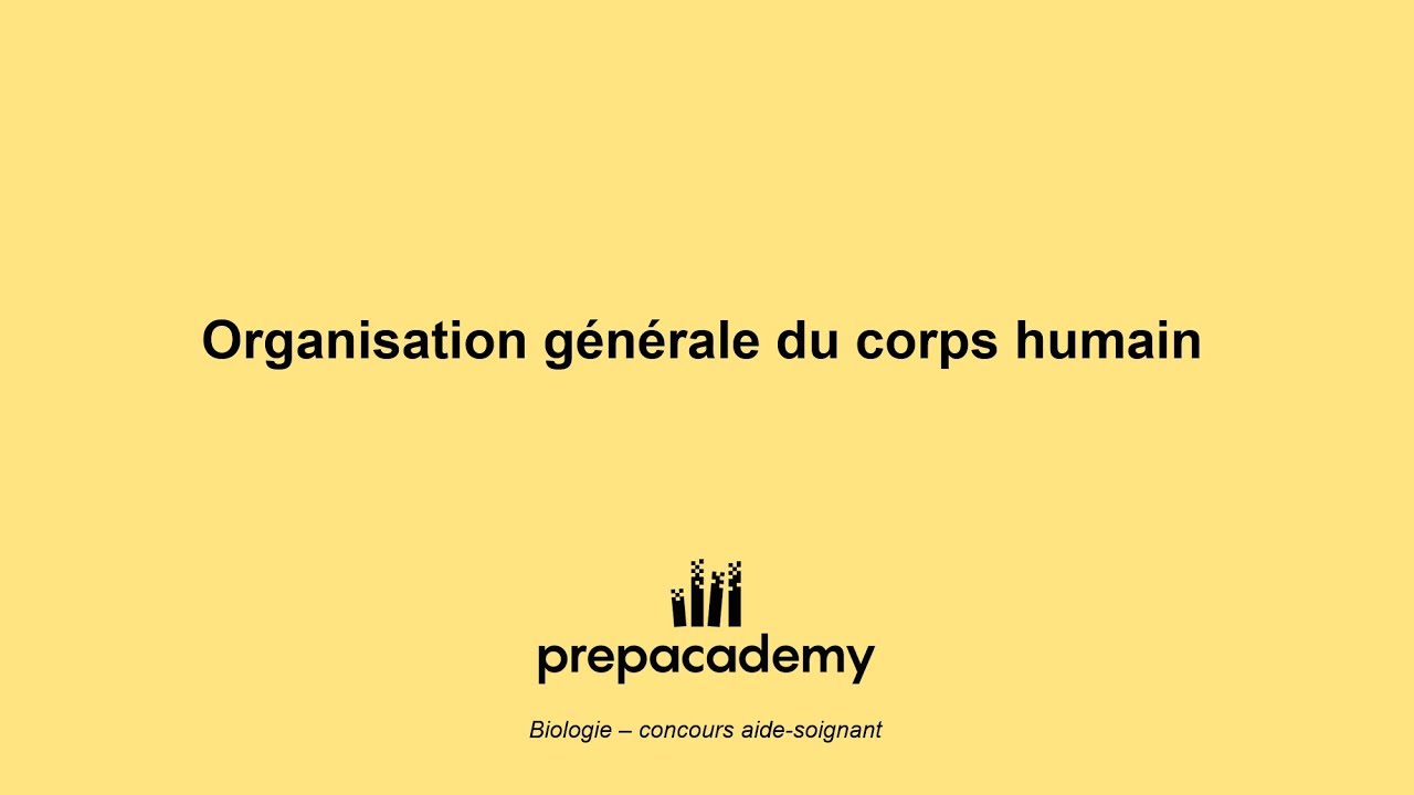 Organisation générale du corps humain