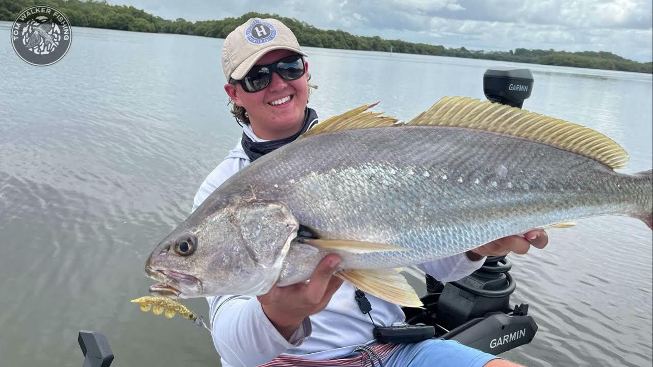 Rain-triggered Jewie Bite In the Pine River | Lure Fishing Brissy