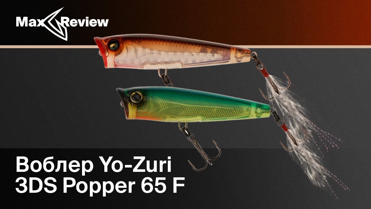 Легендарный поппер Yo Zuri 3DS Popper 65f | Митя Бугорский