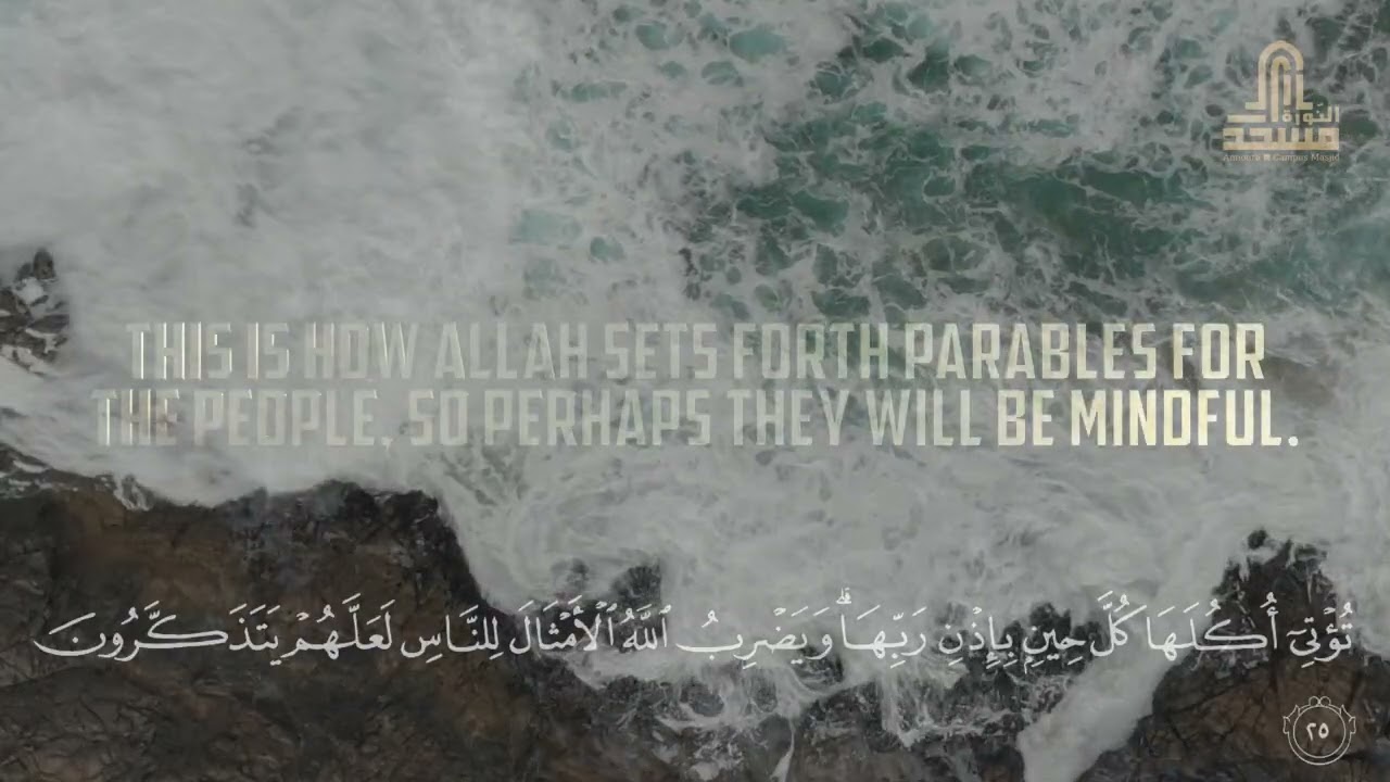SURAH IBRAHIM 13 - 34 l MUHAMMED EKRAM l RECITATION