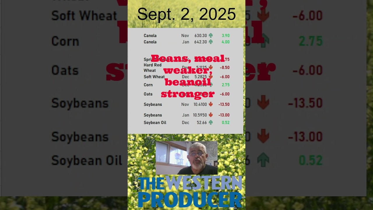 PMMarketUpdateSept02 2025