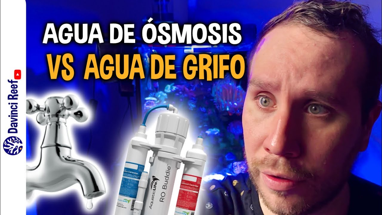 Agua de Osmosis vs Agua de Grifo  - Importancia de la Calidad del Agua en tus Acuarios Marinos.