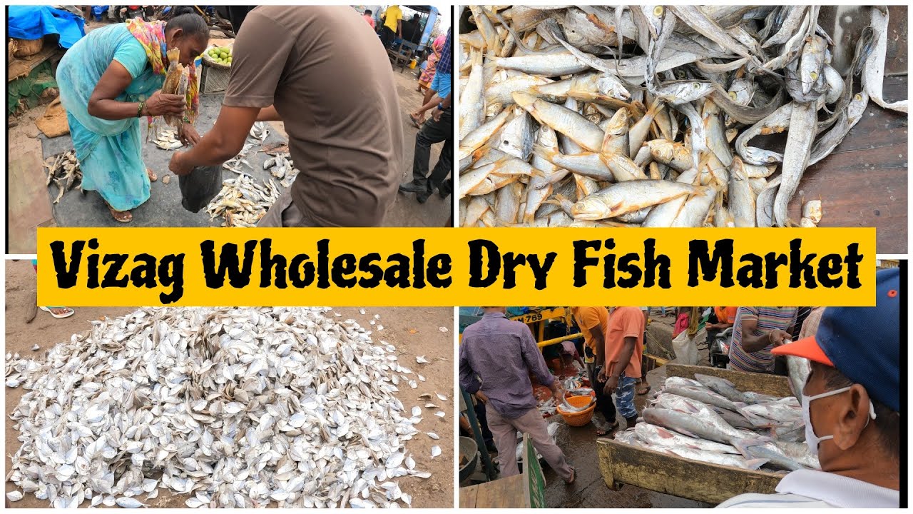 Vizag Wholesale Dry Fish Market | #fishing #vishakhapatnam #vizagfood #vizagbeach #vizagstreetfood