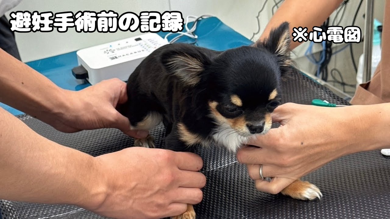避妊手術前日、あなの病院記録