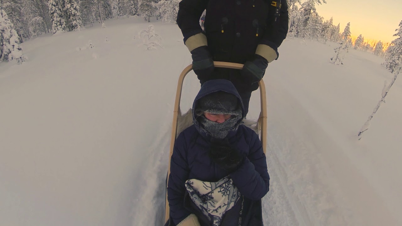2019 - 02 - Finnland, Schlittenhund-Safari