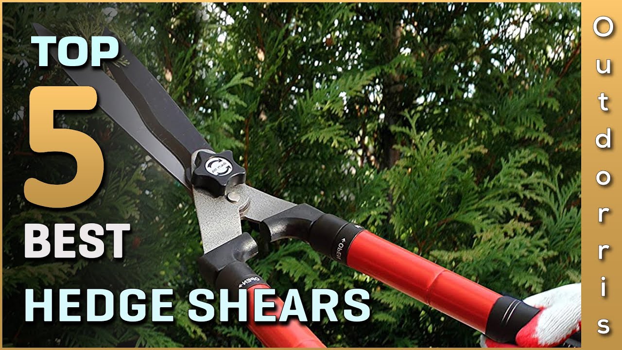 Top 5 Best Hedge Shears Review in 2025