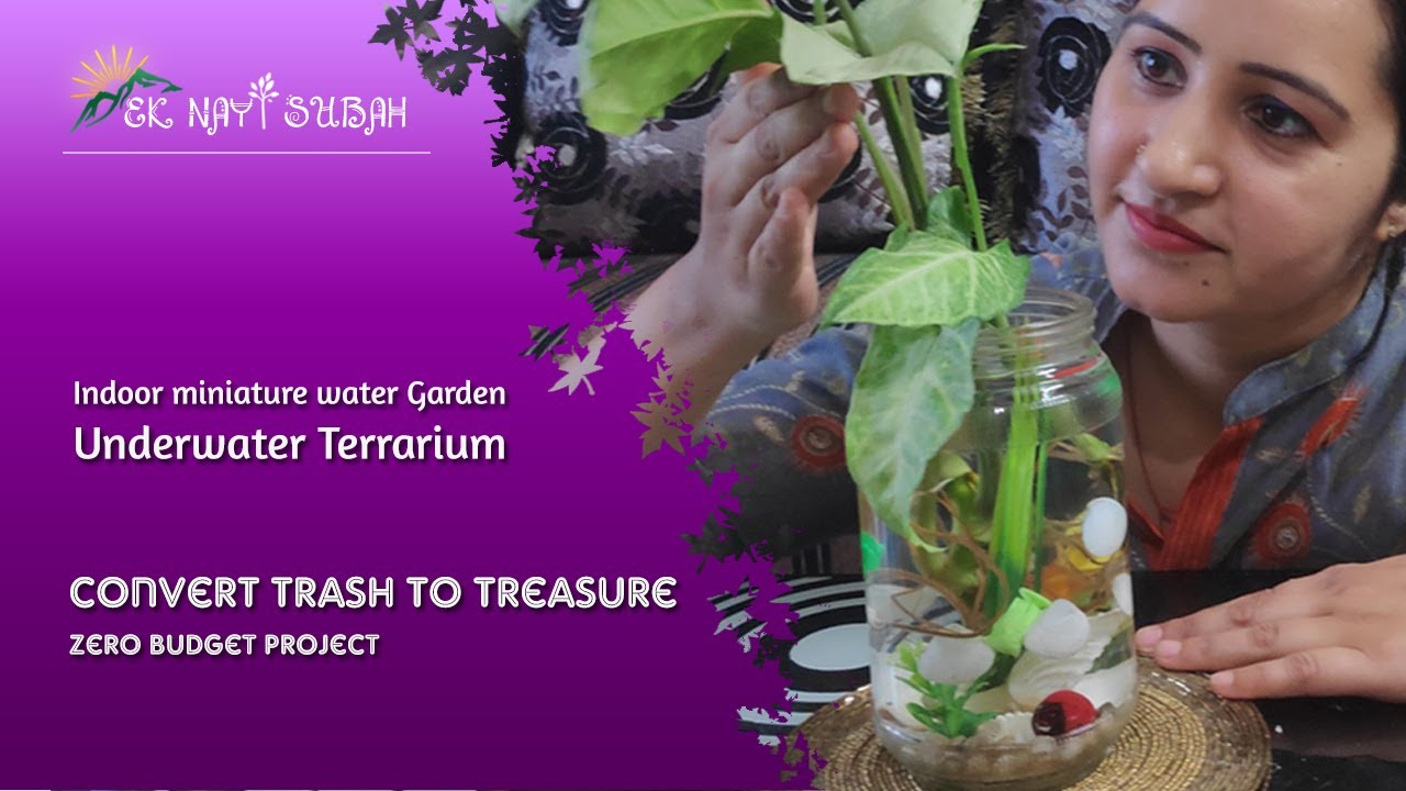 Indoor Miniature Water Garden | Underwater Terrarium | Zero Budget Project