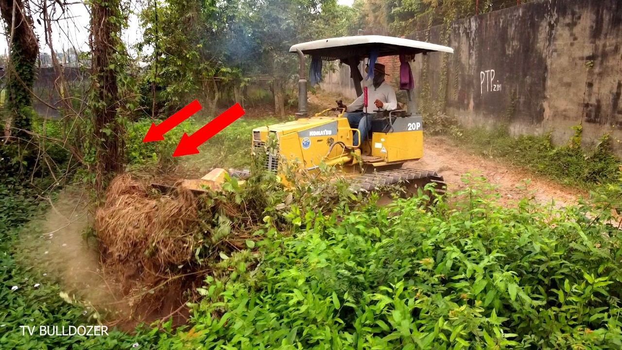 Great!! Starting New Project EXPANDING ROAD By Best Driver D20P KOMATSU Dozer Pushing Grass & Forest