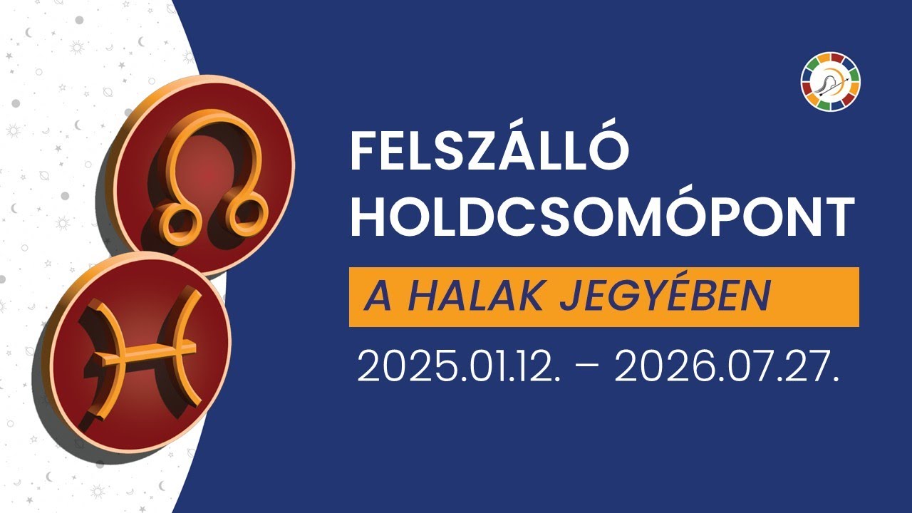 HALAK jegyében a KARMATENGELY új iránya | Mi formálódik az 