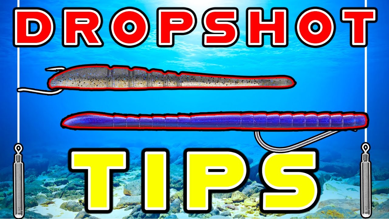Drop Shot Tips For Hot Summer Bass! (And The Mistakes To Avoid)