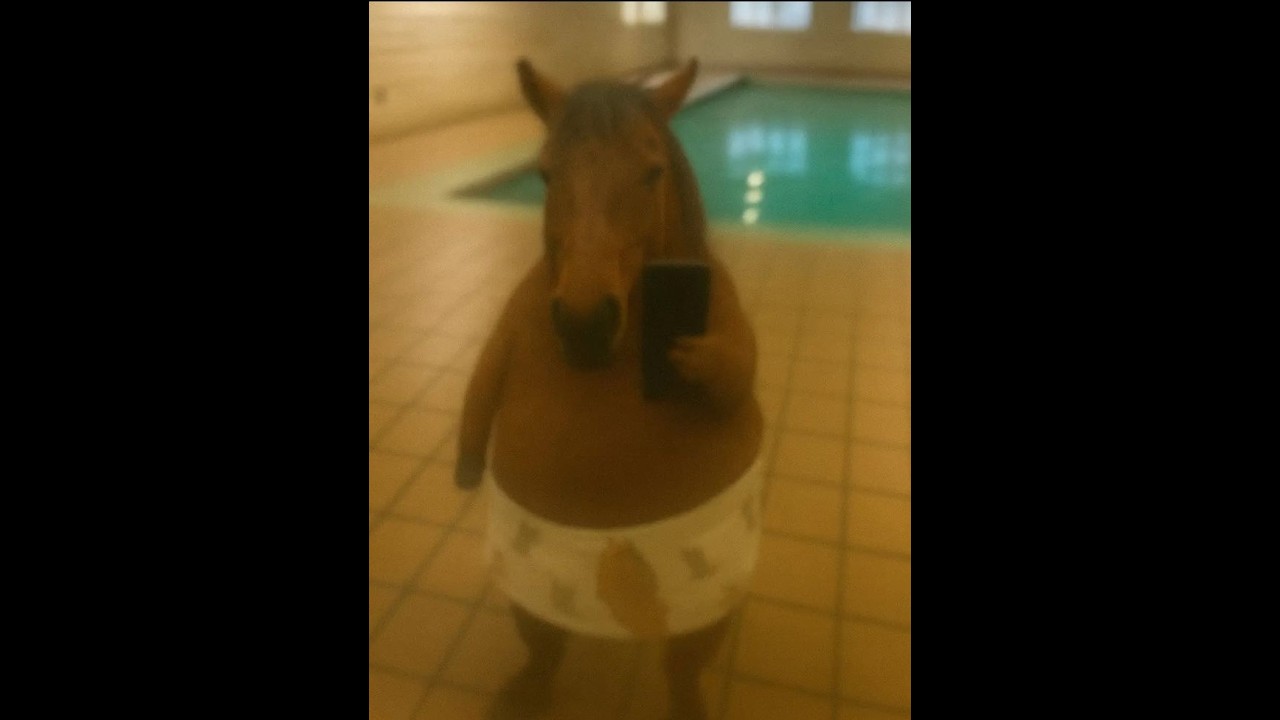 9800 มือใหม่ครับ