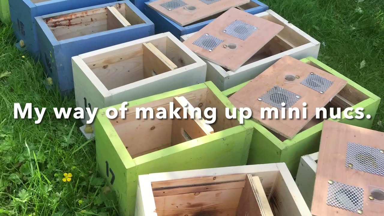 THE LEAST STRESSFUL WAY TO HANDLE BEES to make up mating nucs, using my own design of mini nucs.