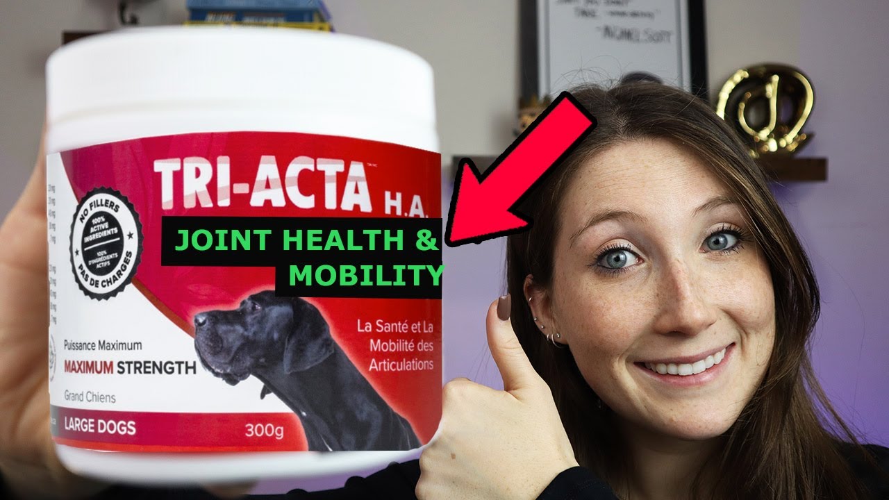 Triacta For Dogs - Glucosamine Supplement Review