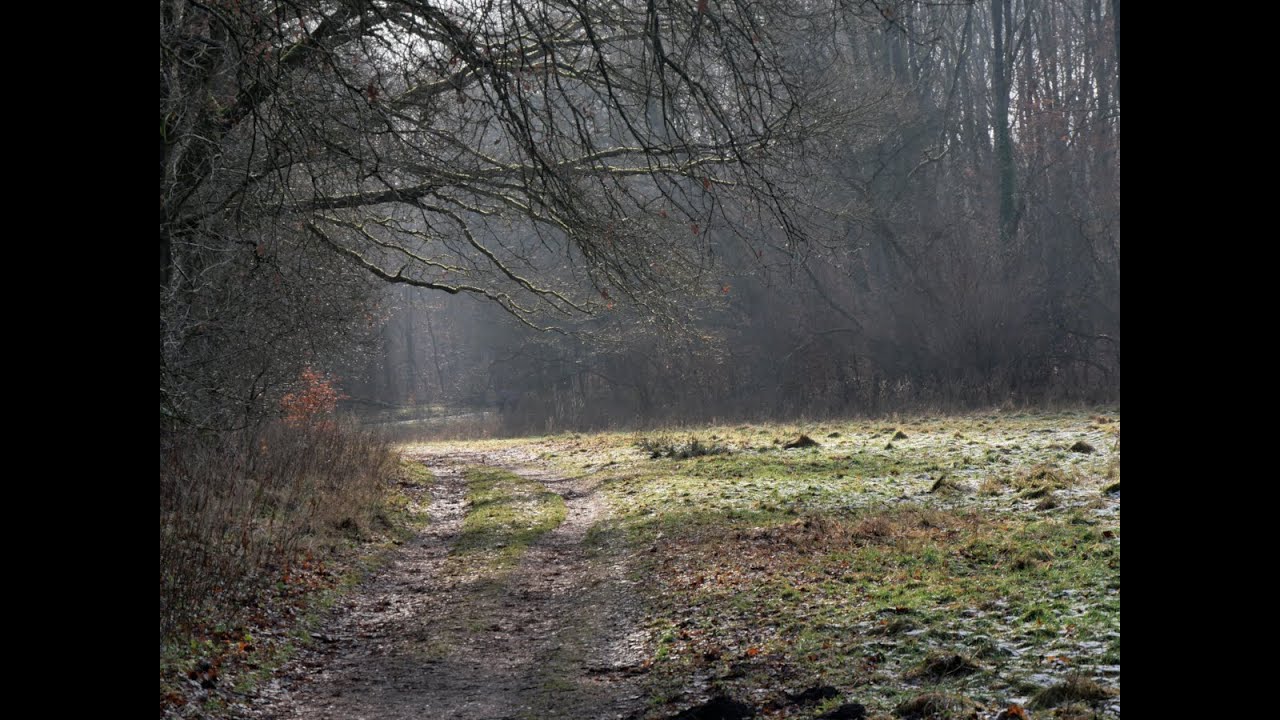 Fototour oder auch Neumodisch #fotowalk  im Wesloer Moor