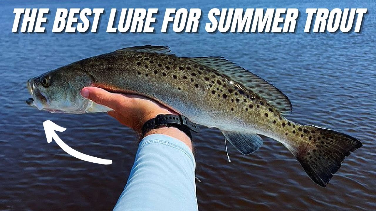 THIS Is The Best Soft Plastic Lure For Summer Trout