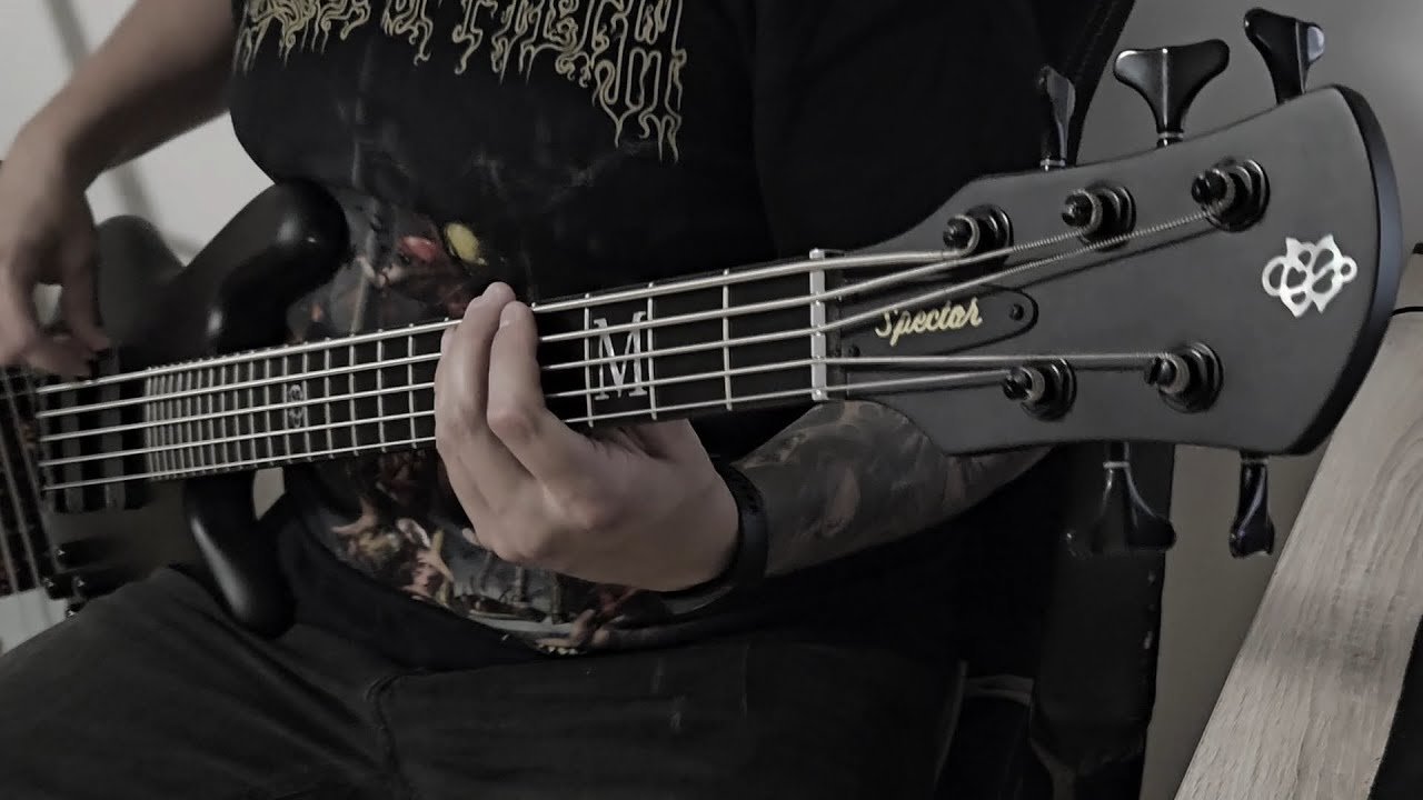 Avatar - Vultures Fly [Bass Cover]