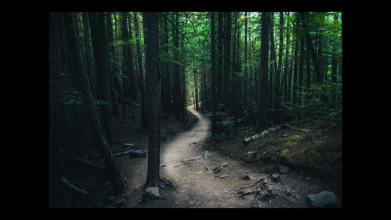 The Path that Hunts