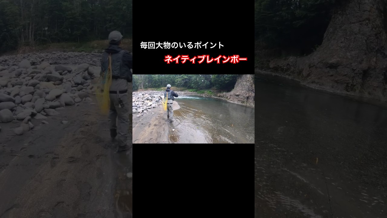北海道十勝！毎回大物が釣れるポイント！ジャンケンで、仲良く先行決め果たして大物が釣れるのか！？#ニジマス #渓流釣り