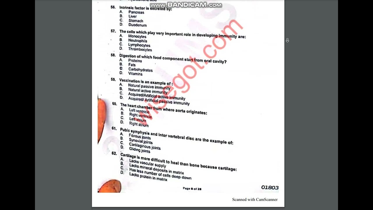 NUMS entry test 2023 Answer Key || NUMS solved paper || NUMS 3 September 2023 entry test Answer key