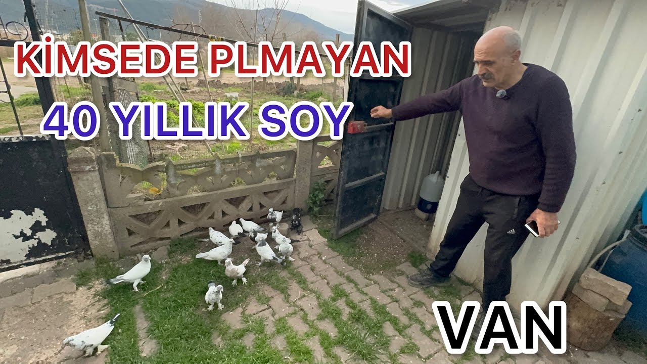 BU SEVDA G&Ouml;KY&Uuml;Z&Uuml;NDE BAŞLADI VAN KUŞLARI