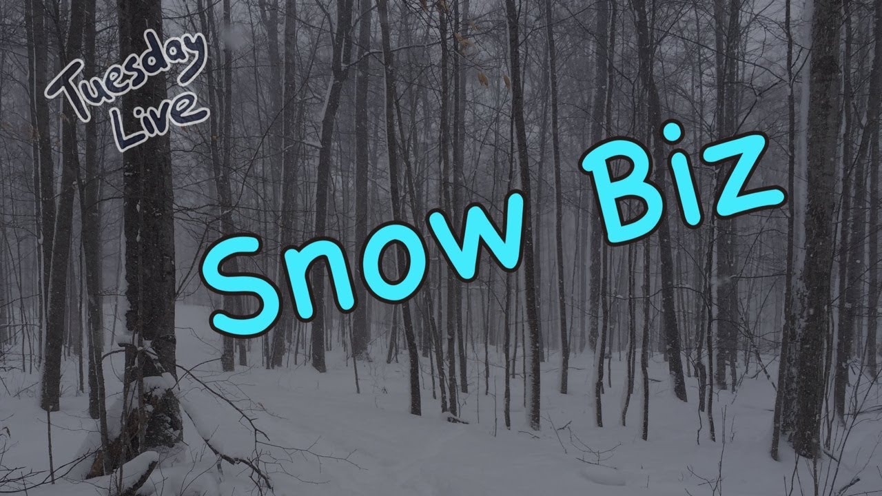 ⛄️ Tuesday Live Snow Biz ❄️