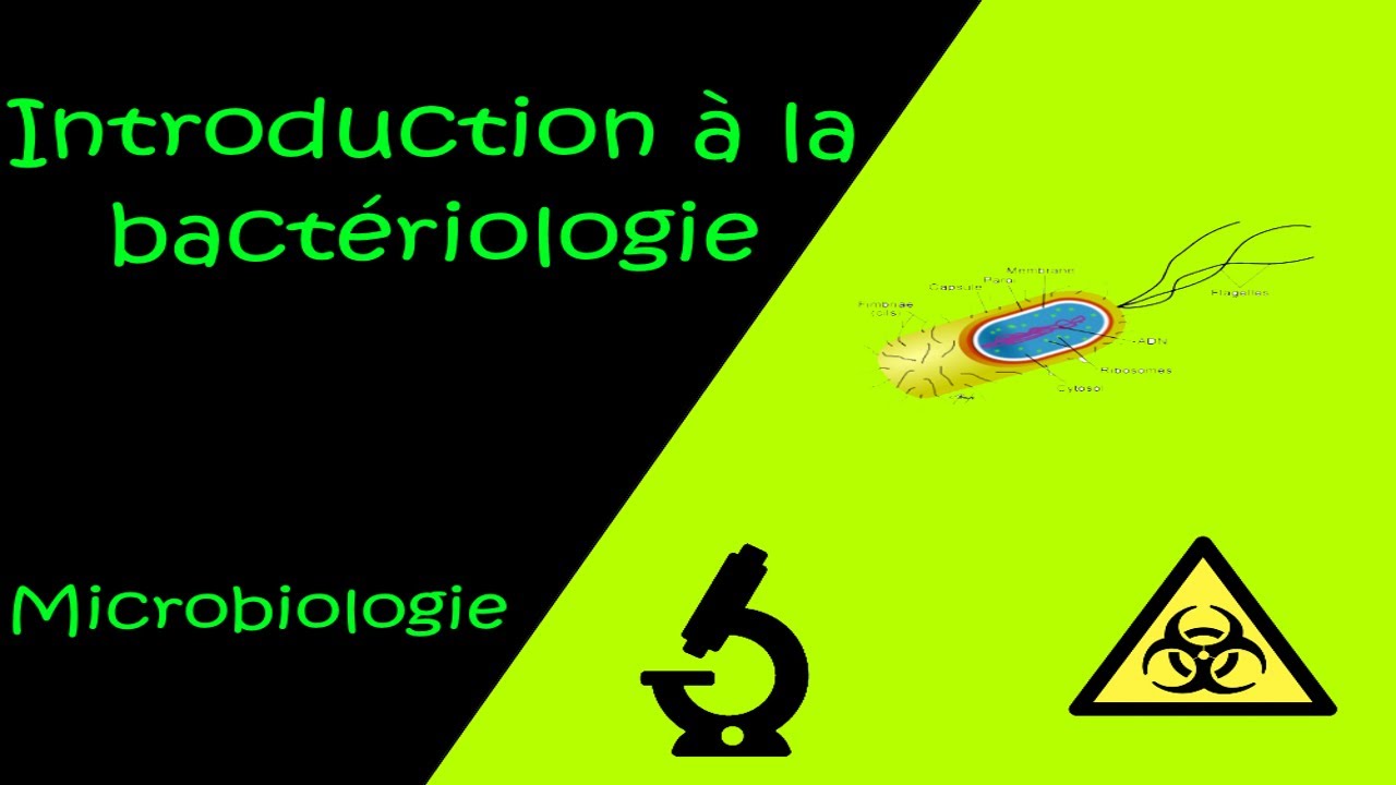 Introduction &agrave; la bact&eacute;riologie