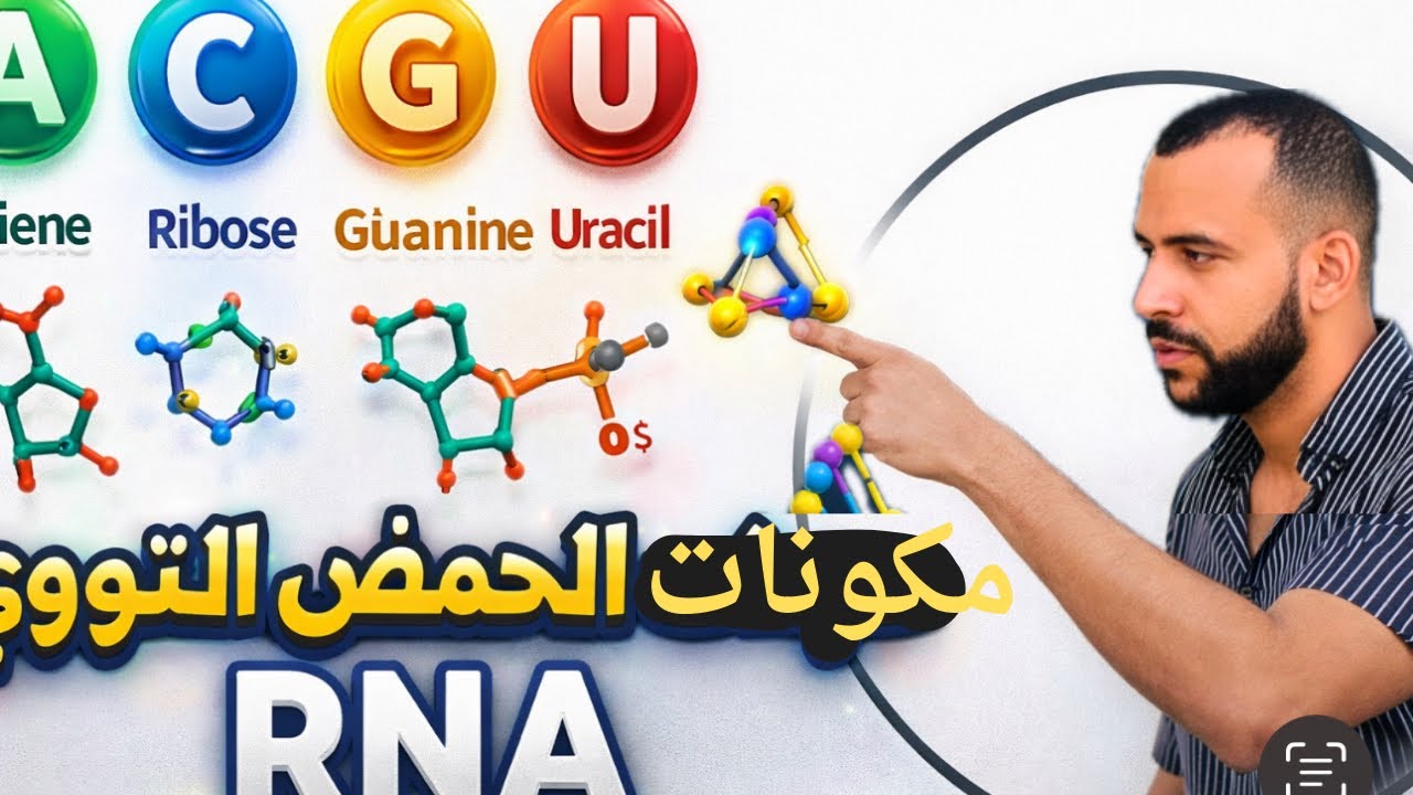 تركيب البروتين 3. مكونات ال-mRNA