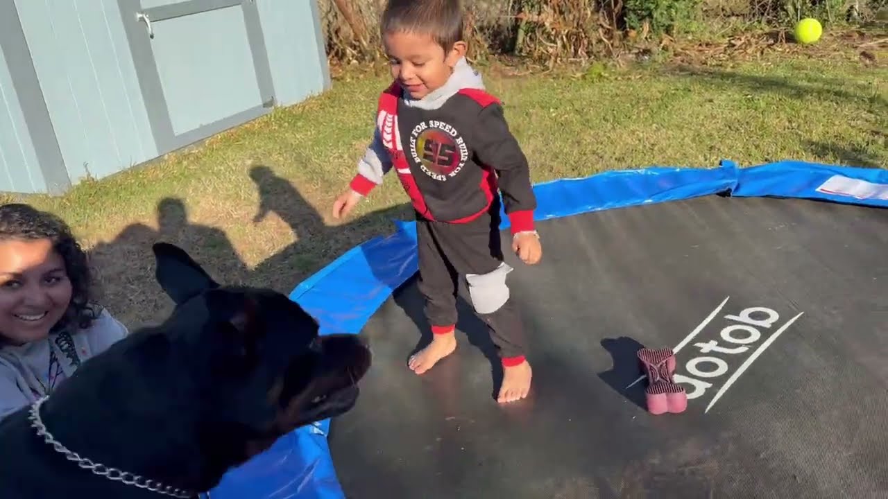 Ситуация на батуте вышла из-под контроля 😱