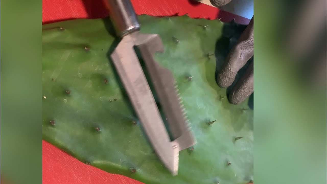 2 formas de  Pelar los Nopales Rápido y Sin Espinarce#nopales#