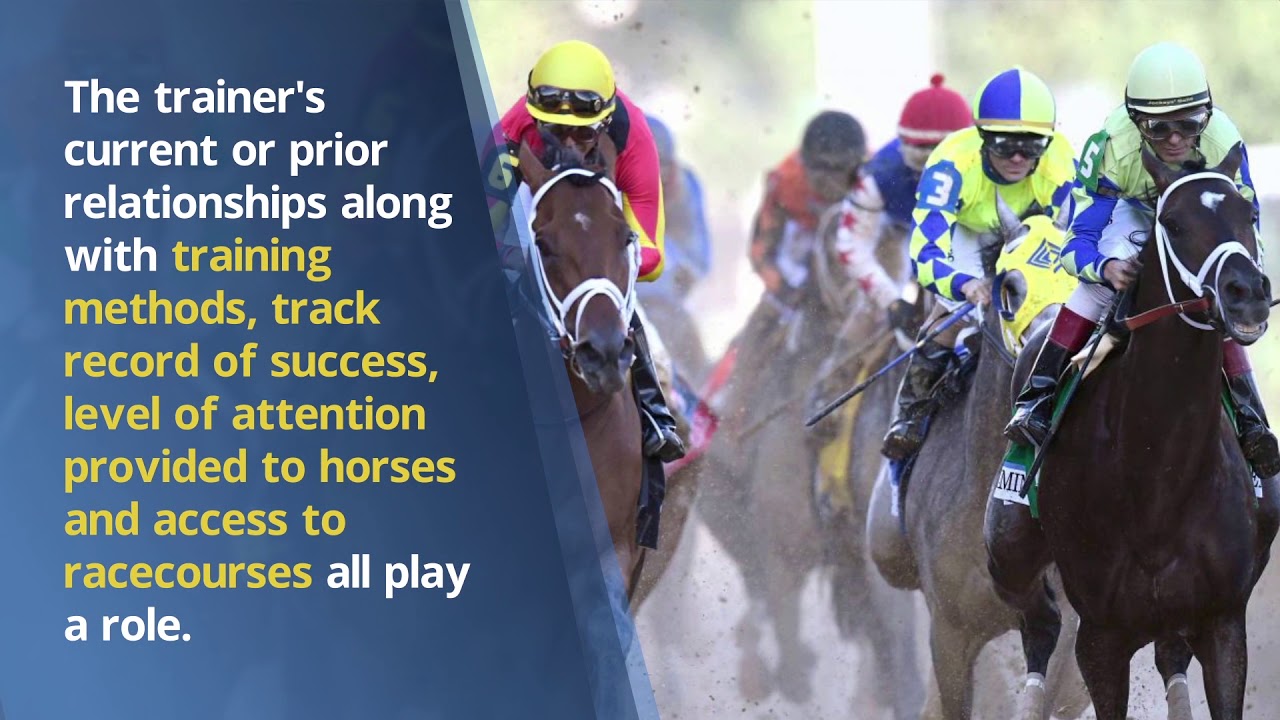 An Inside Look at how Elite Horses are Prepped for Successful Racing Careers - Richard Schibell