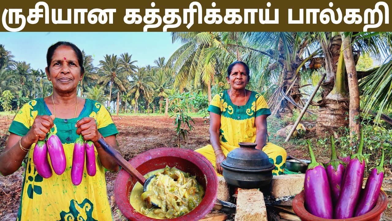 புத்தம் புதிய சுவையில்  கத்தரிக்காய் பால்கறி l village life 💚 vanni bro 