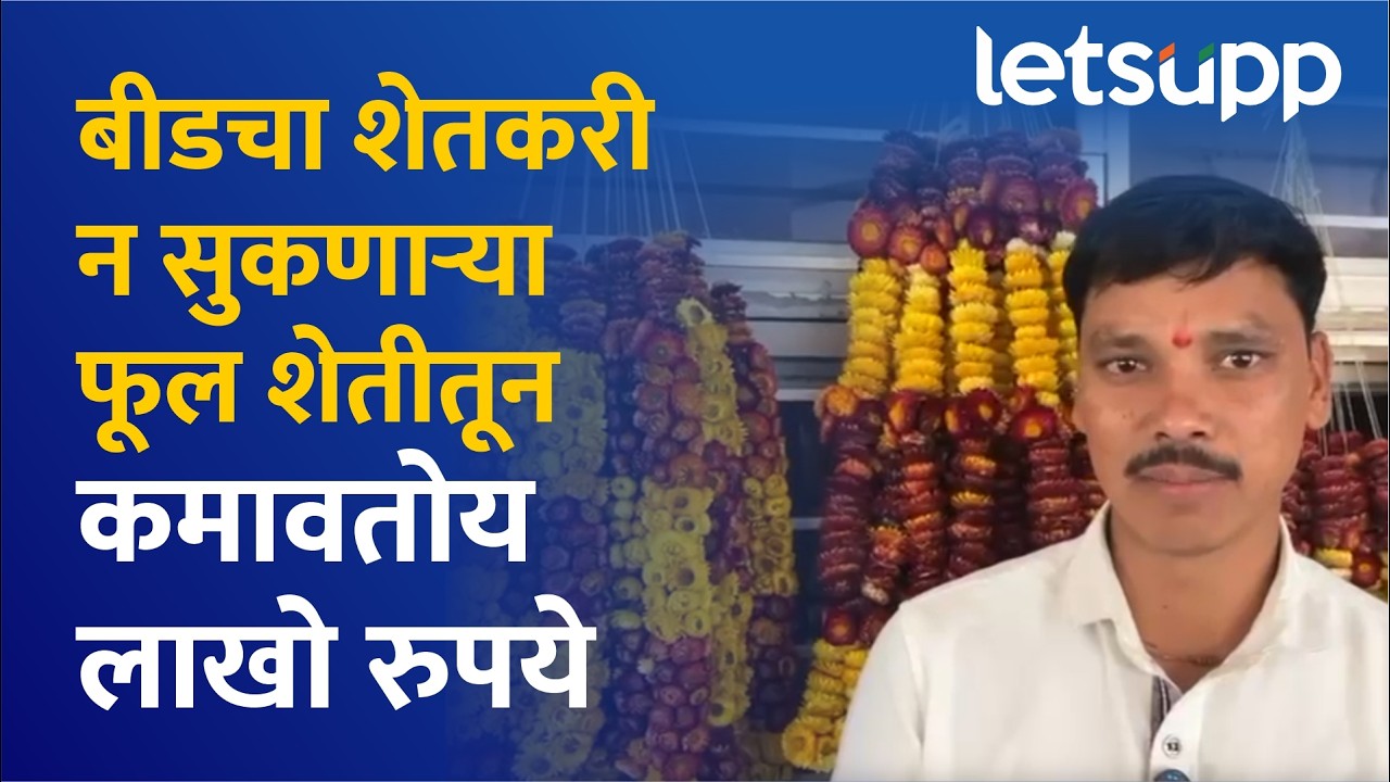 Farmer Success Story : वर्षभर टिकणारं फूल आणि लाखांचं उत्पन्न; बीडच्या ईश्वर शिंदेंनी करून दाखवलं!