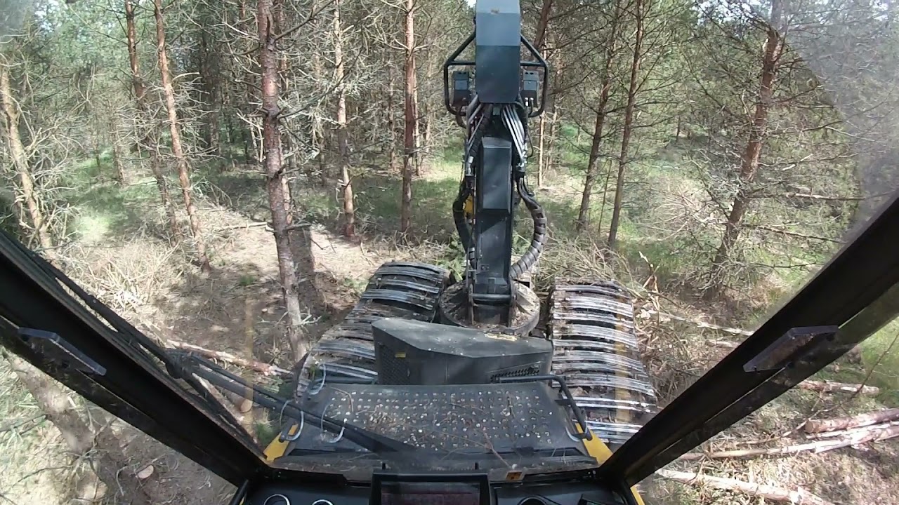 Ponsse Beaver H6 C44 inside cab in pine thinning
