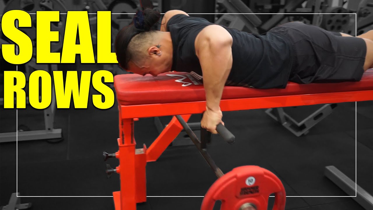 Exercise Index - Seal Rows