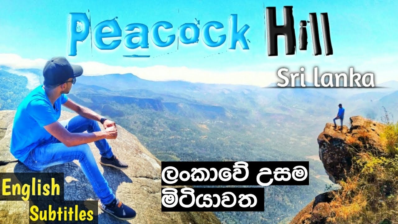 Peacock Hill pussellawa - මොණරගලට කැලෑව මැදින් | Monaragala Hike | Secret traveller | Vlog #10