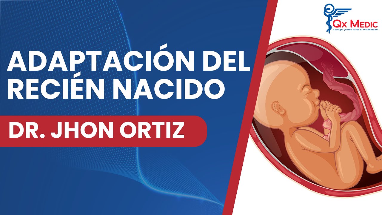 Neonatología - Periodos de adaptación