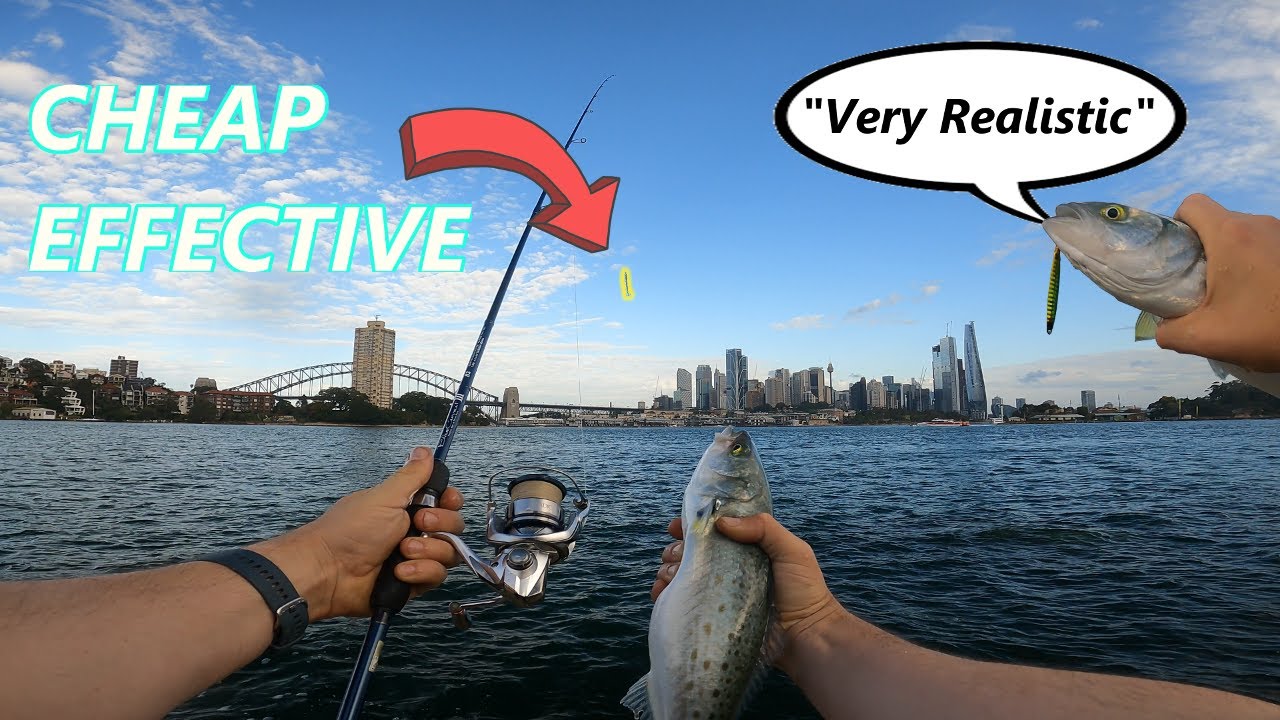 Ultra Light Shore Jigging Guide Sydney