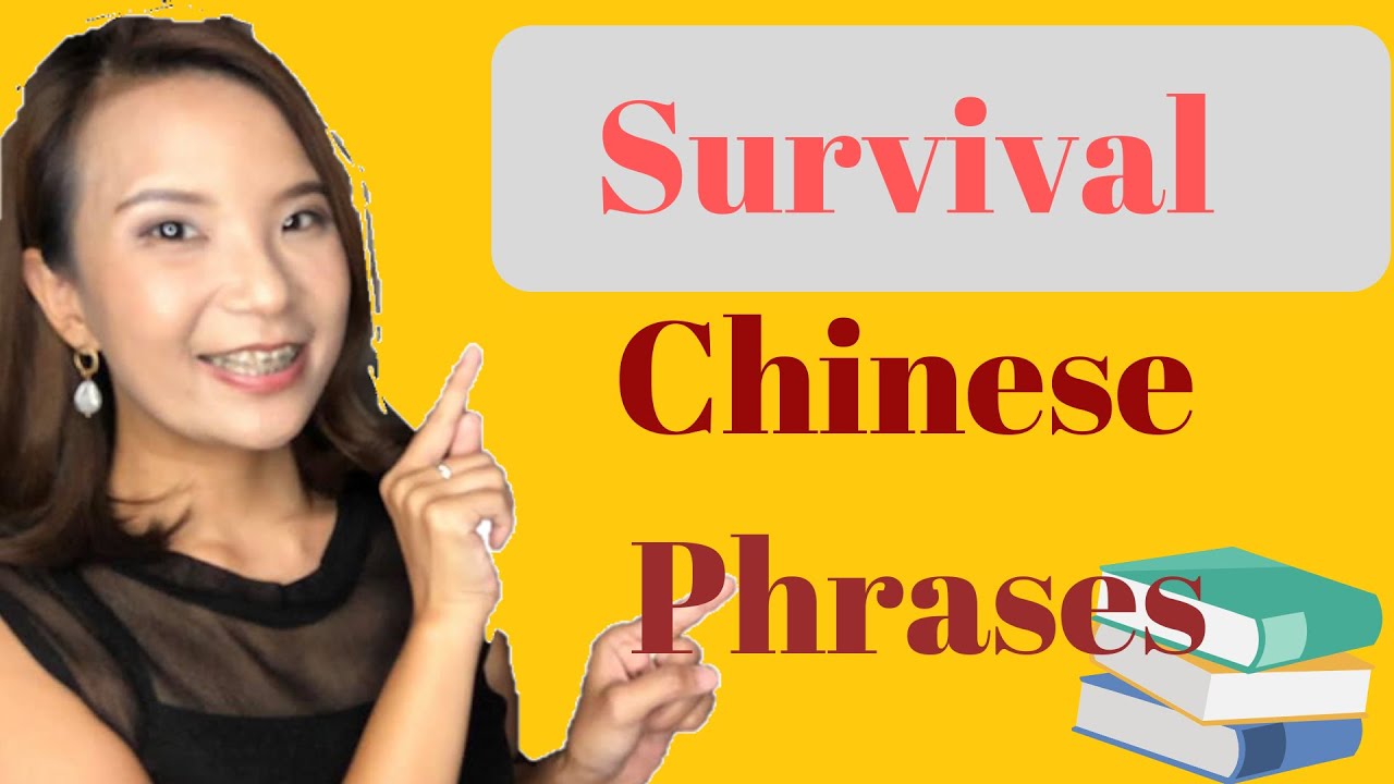 Survival Chinese Phrases 2 (SMART Mandarin | Chinese for Beginners)