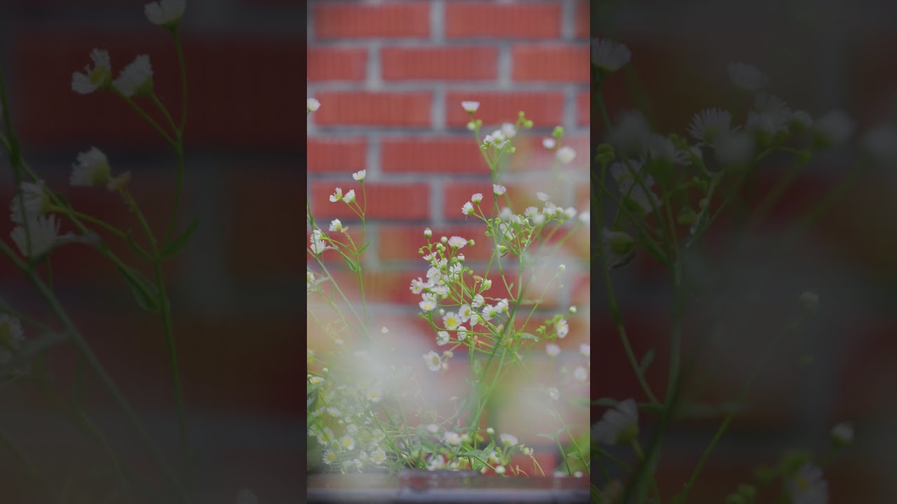 UrbanRain #slownoise #ambientsound