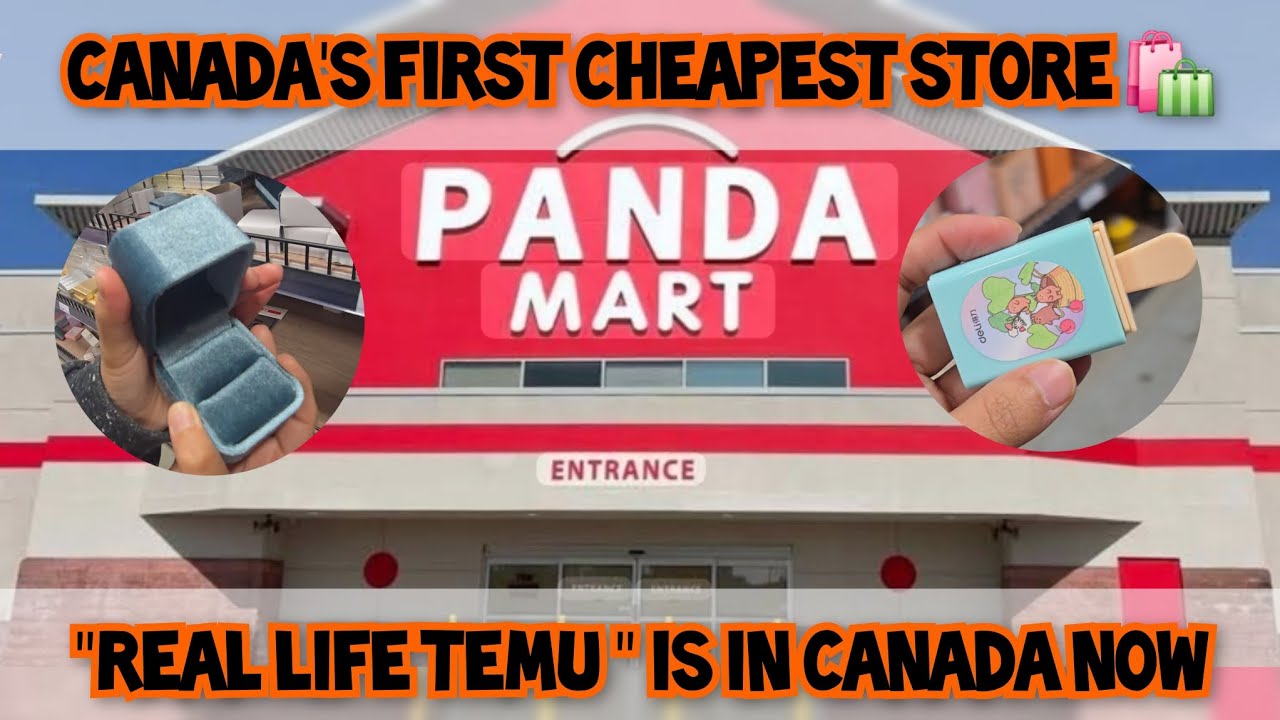 First Look Inside Panda Mart Canada 🐼 | The Real Life Temu Store | Viral Discount store in Canada🇨🇦 