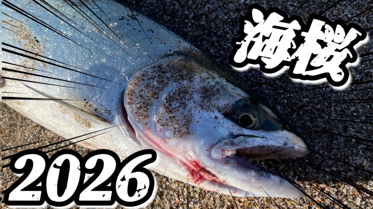 【北海道・サクラマス】新年早々、白いサーフにマスを狙いに行ってきました。