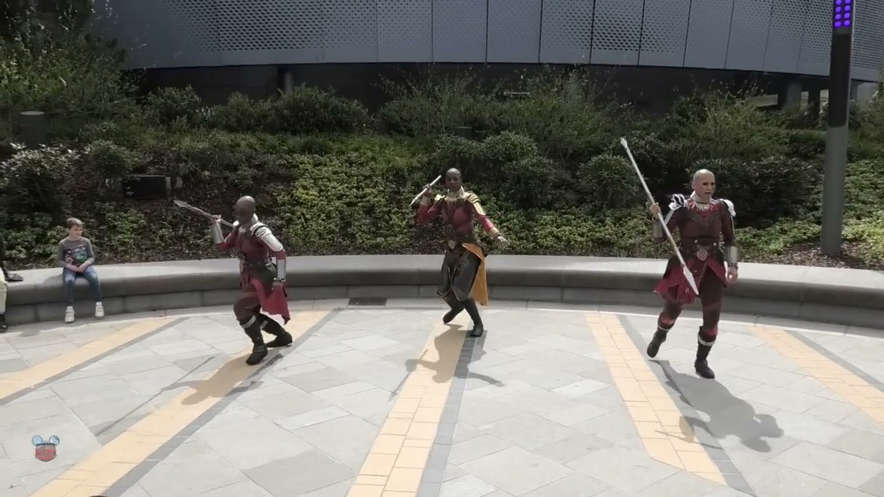 Avengers Campus Warriors of Wakanda Show 2023 - Disneyland Paris Black Panter live show
