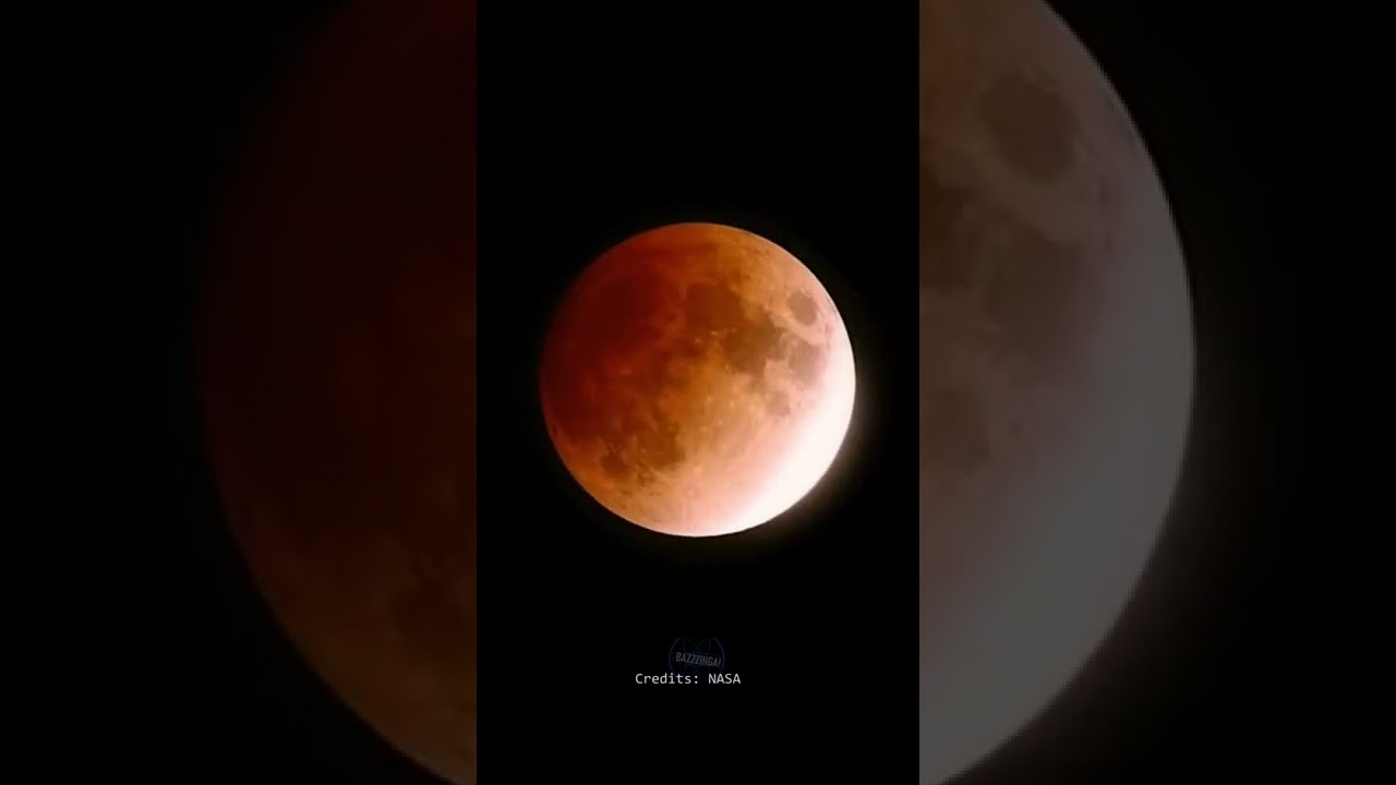 Celestial Events in November 2022 | Total Lunar Eclipse, 3 Meteor Showers