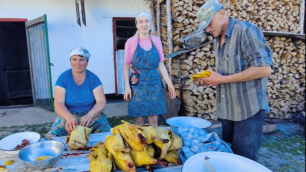Общипываем уток🌻Вася врач ,Таня медсестра!!!😂