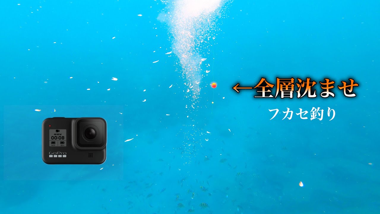 水中から見る全誘導フカセ釣り【沖縄北部の漁港】