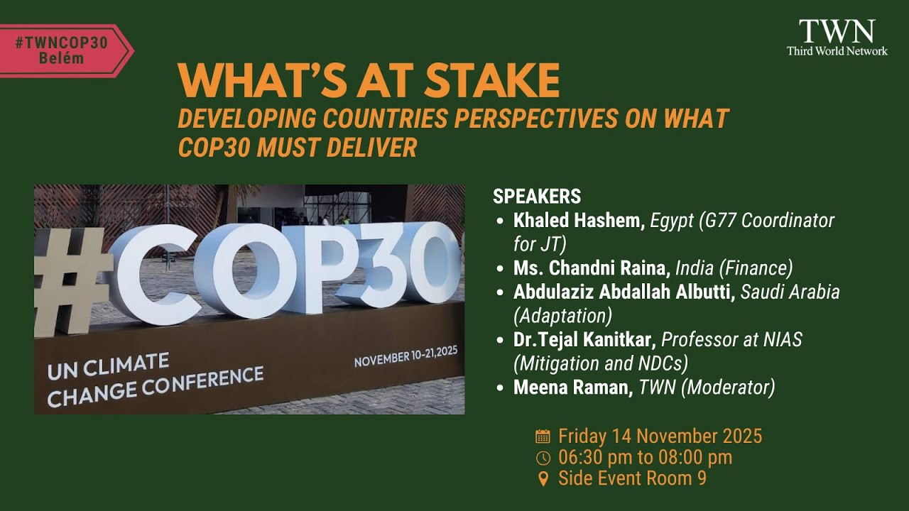 What is at stake: developing countries perspectives for COP30