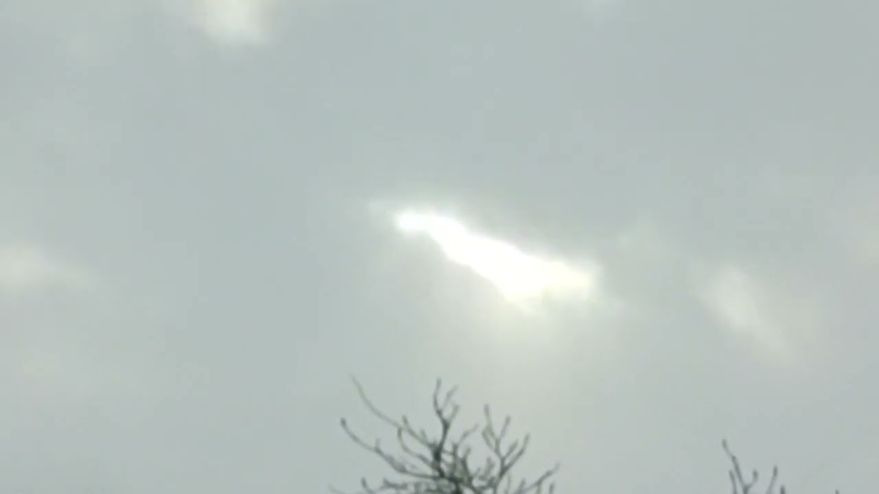 🌧️🦅🧚✝️☦️2/11.26 新地球⚡STUP 以外の動画２件と横画角☄️🕊️鳥達✚α過去契機 元動画編集🌫️ #今日の鳥達と周辺 #mimic #nature #god  #異次元 #空間擬態