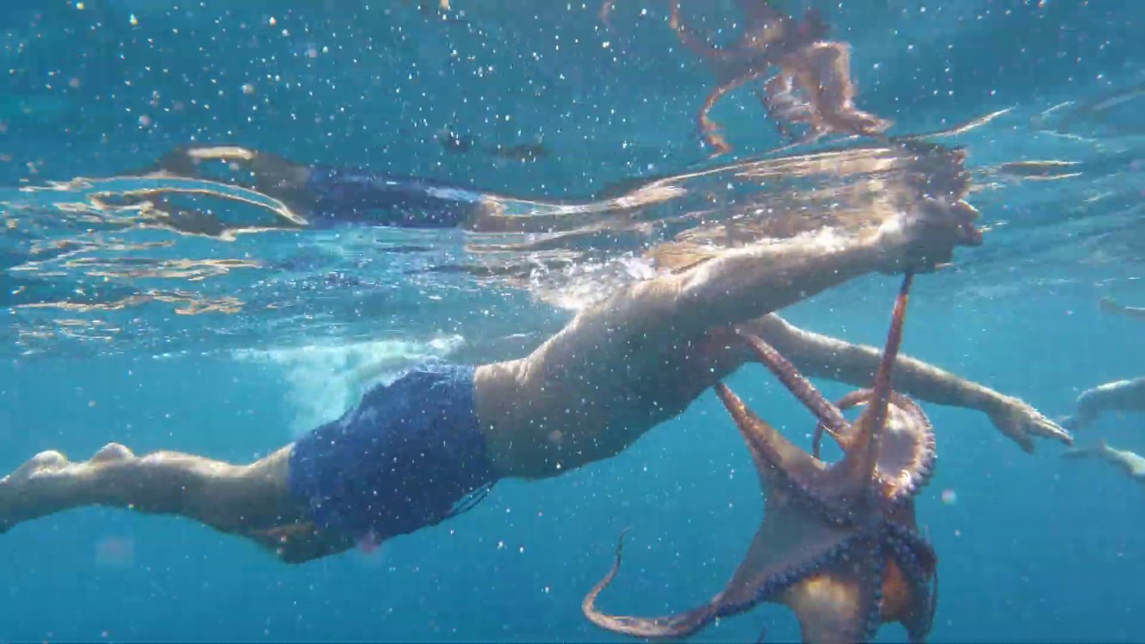 Croatia Fishing